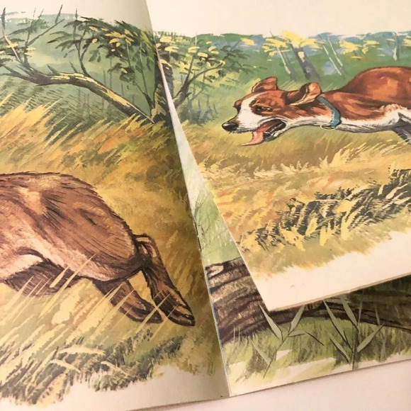 Vtg Zip and the Hedgehog Infant Series Book Robert Dallet Corlia - Picture 9 of 15